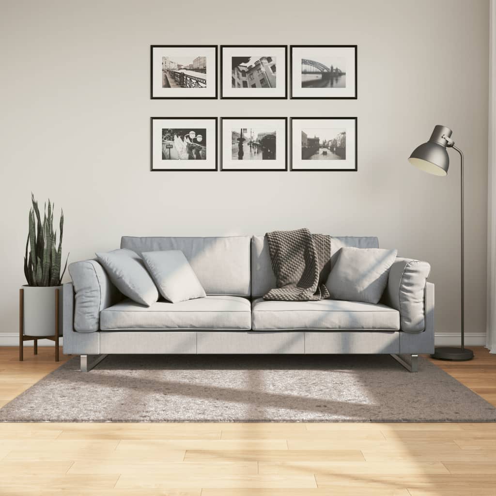 vidaXL Shaggy-Teppich PAMPLONA Hochflor Modern Beige 120x170 cm