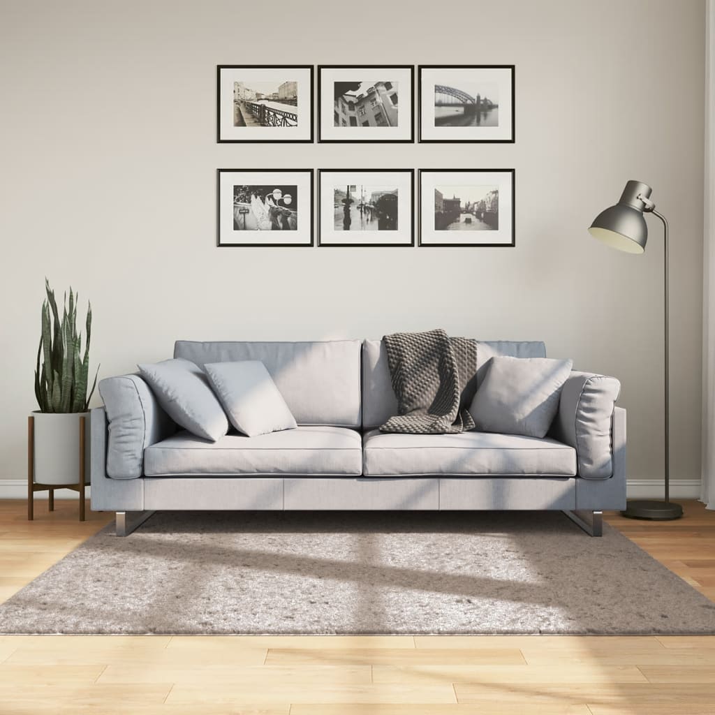 vidaXL Tapis shaggy PAMPLONA à poils longs moderne beige 160x160 cm