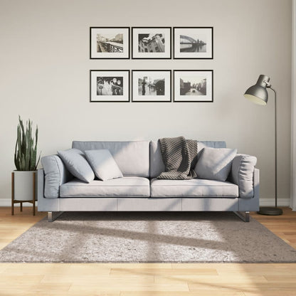 vidaXL Tapis shaggy PAMPLONA à poils longs moderne beige 160x160 cm