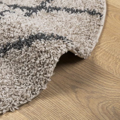 vidaXL Shaggy-Teppich PAMPLONA Hochflor Modern Beige Anthrazit Ø 120cm