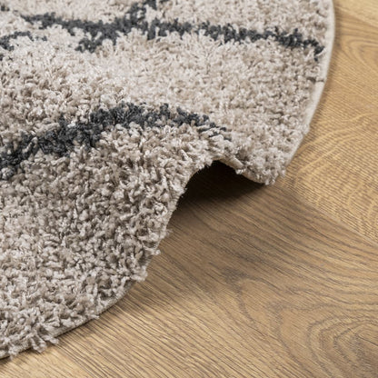 vidaXL Shaggy-Teppich PAMPLONA Hochflor Modern Beige Anthrazit Ø 280cm