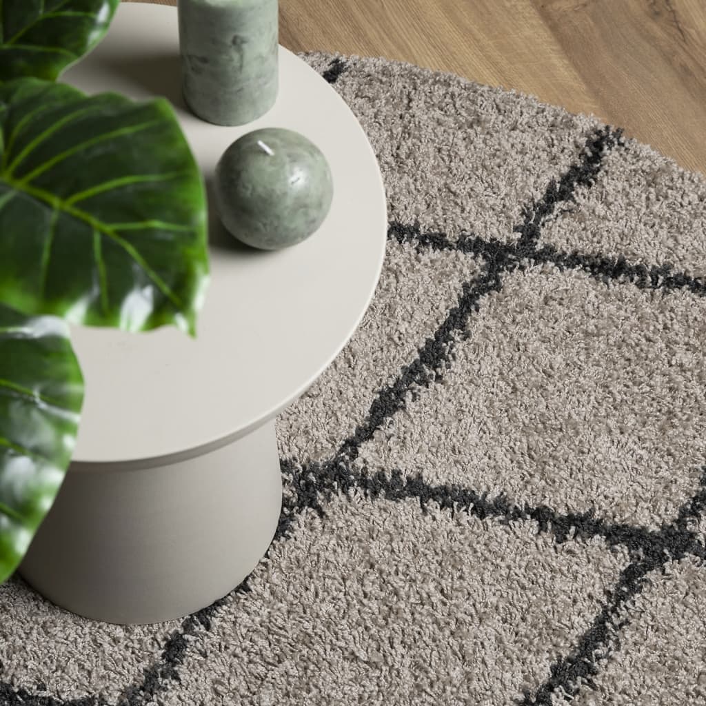 vidaXL Shaggy-Teppich PAMPLONA Hochflor Modern Beige Anthrazit Ø 280cm