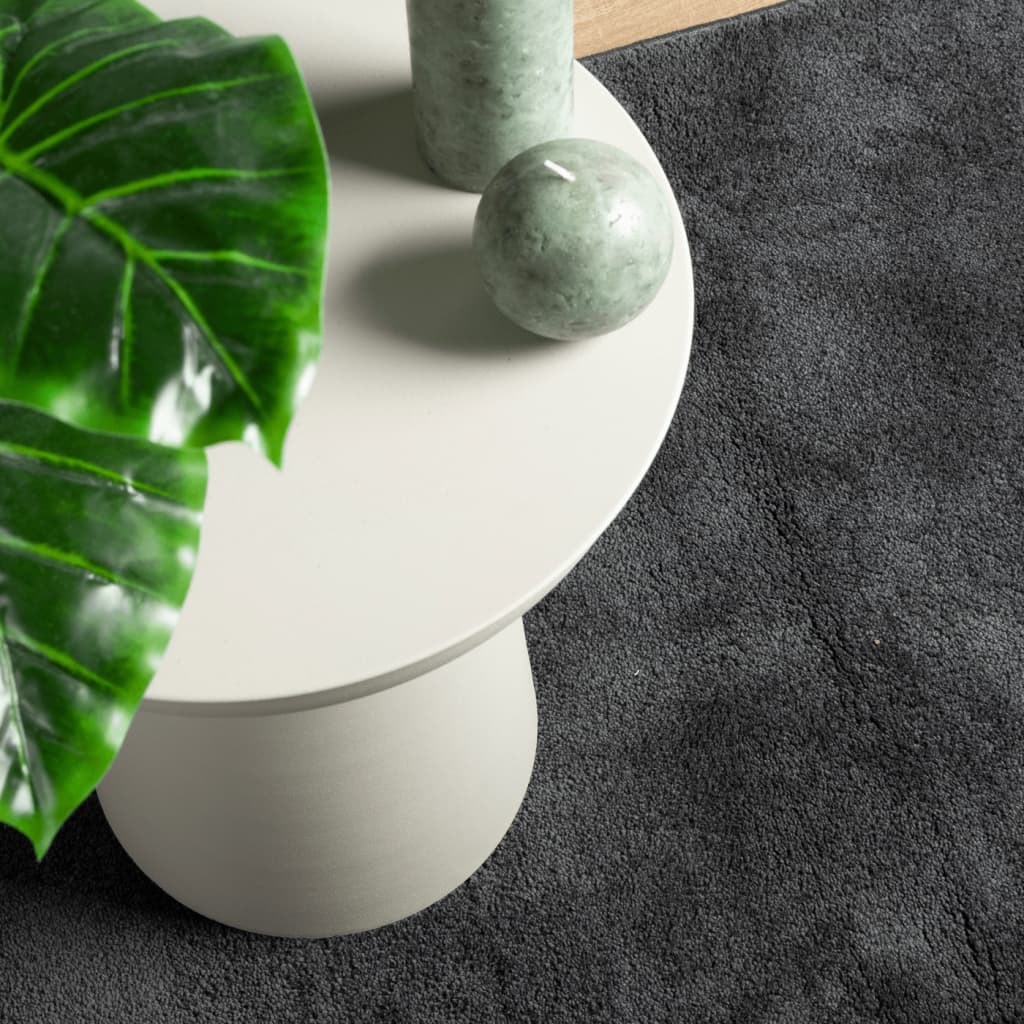 vidaXL Teppich OVIEDO Kurzflor Anthrazit 200x200 cm
