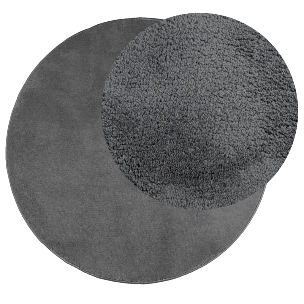 vidaXL Tapis OVIEDO Poils courts Anthracite Ø 120 cm