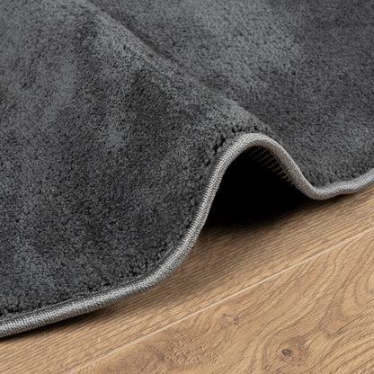 vidaXL Tapis OVIEDO Poils courts Anthracite Ø 120 cm