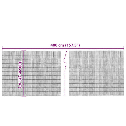 vidaXL Gartenzaun 400x100 cm Schilf