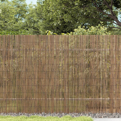 vidaXL Gartenzaun 600x100 cm Schilf
