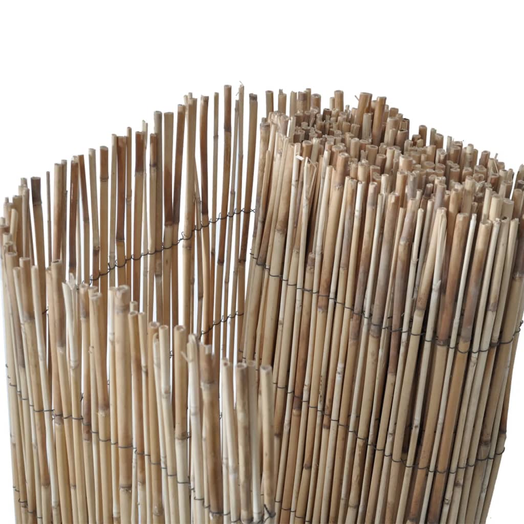vidaXL Gartenzaun 600x80 cm Schilf