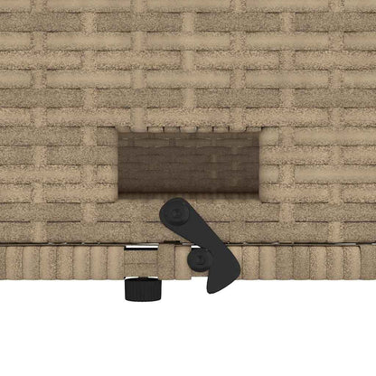 vidaXL Canapé de jardin 2 places avec coussins Beige en rotin synthétique et bois d'acacia