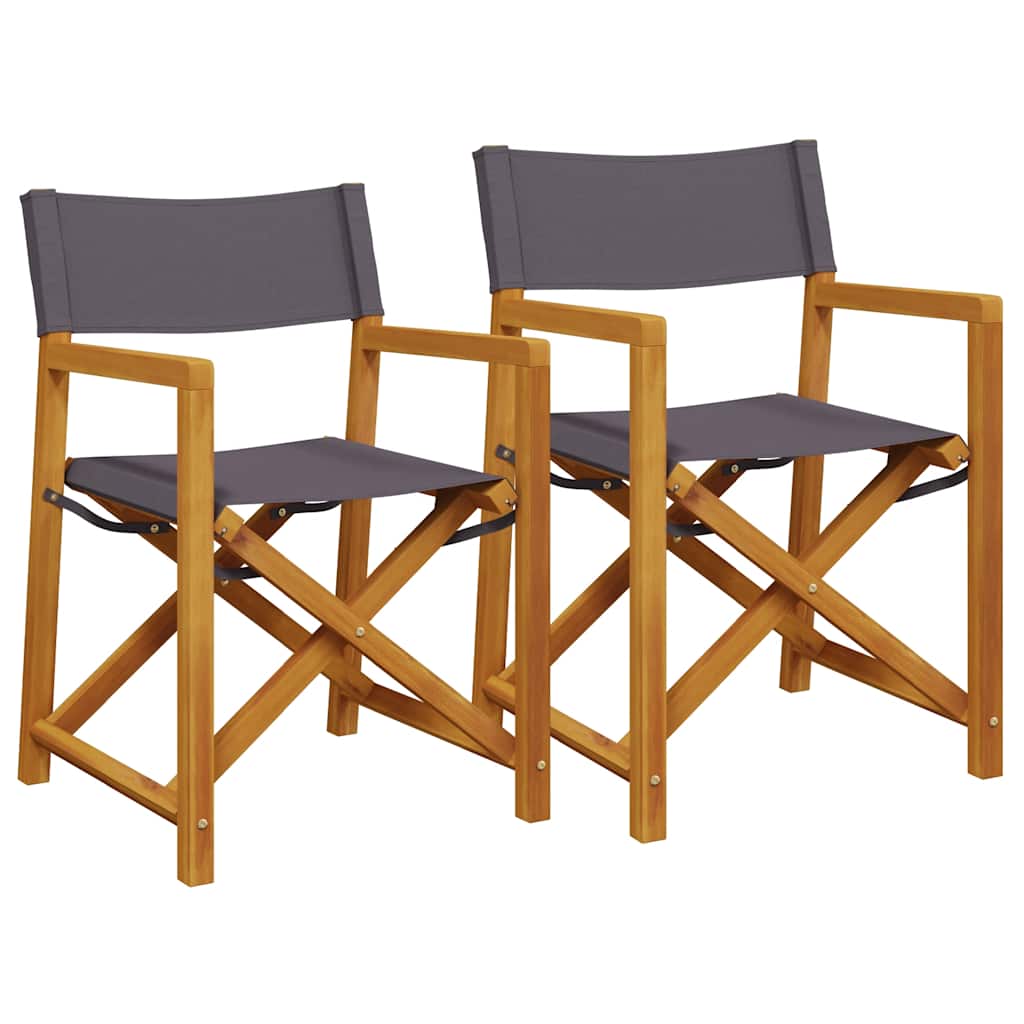 vidaXL Chaises de réalisateur pliables 2 pcs Gris foncé Tissu