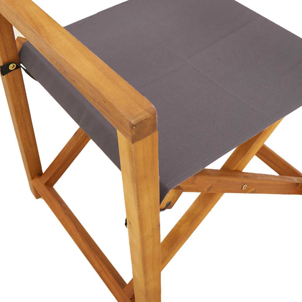vidaXL Chaises de réalisateur pliables 2 pcs Gris foncé Tissu