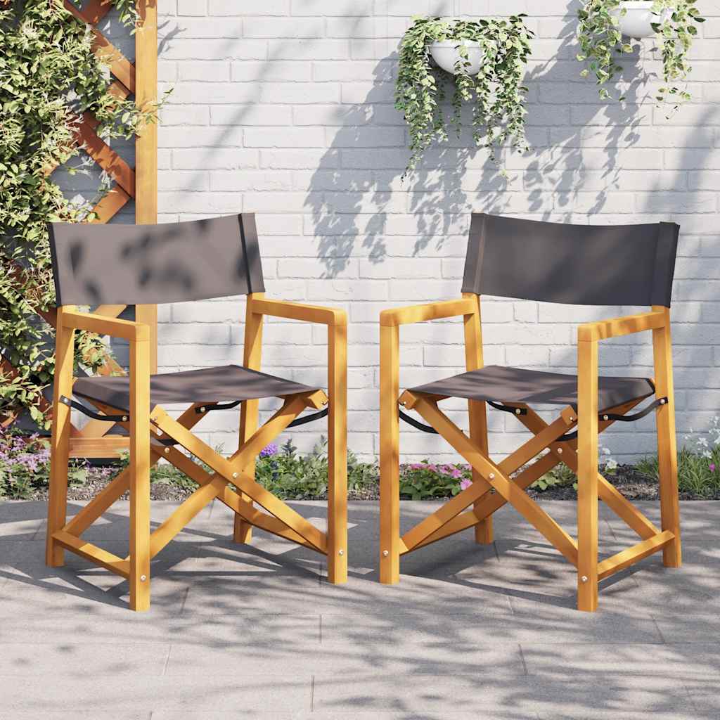 vidaXL Chaises de réalisateur pliables 2 pcs Gris foncé Tissu