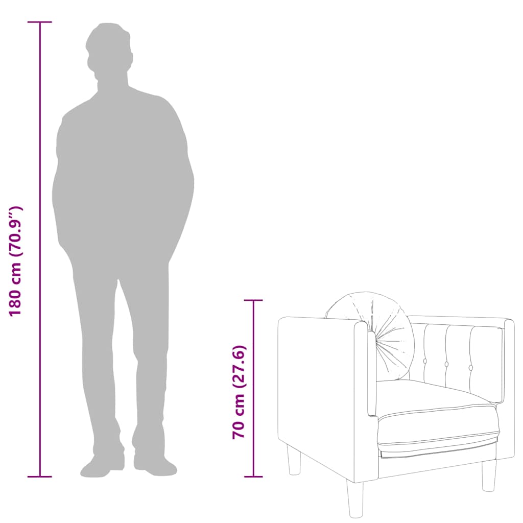 Sessel mit Kissen Schwarz Samt