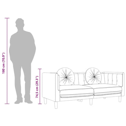 Sofa mit Kissen 2-Sitzer Blau Samt