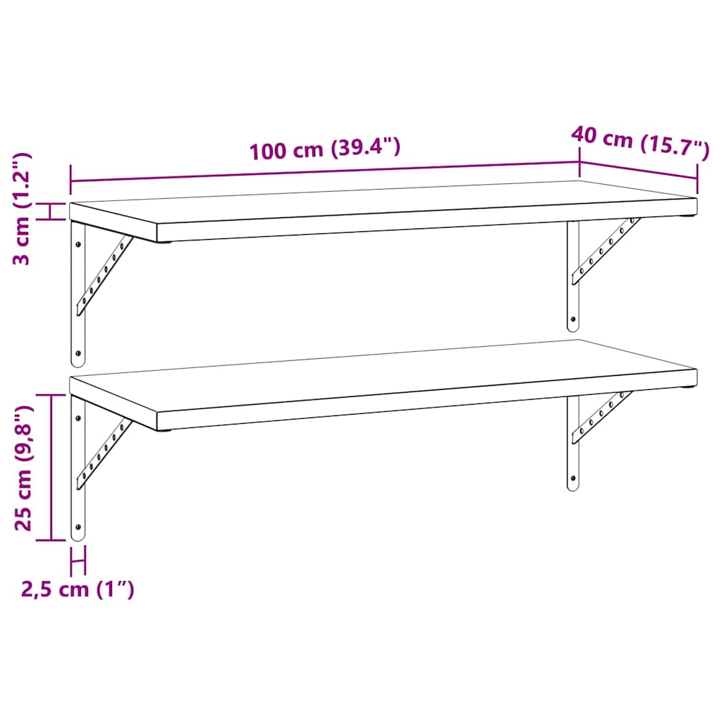 vidaXL Wandregale 2 Stk. 100x40 cm Silbern Edelstahl