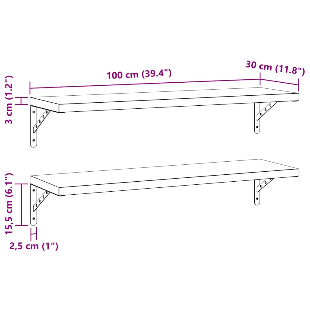 vidaXL Wandregale 2 Stk. 100x30 cm Silbern Edelstahl