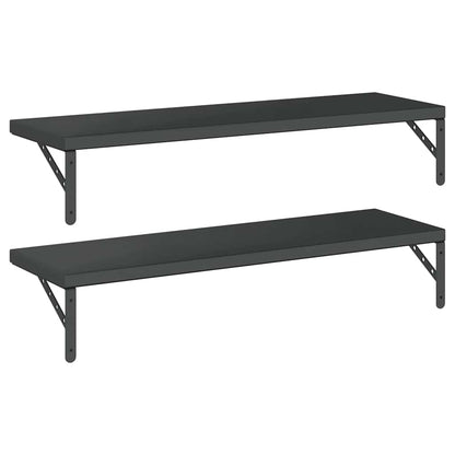 vidaXL Wandregale 2 Stk. 100x30 cm Schwarz Edelstahl