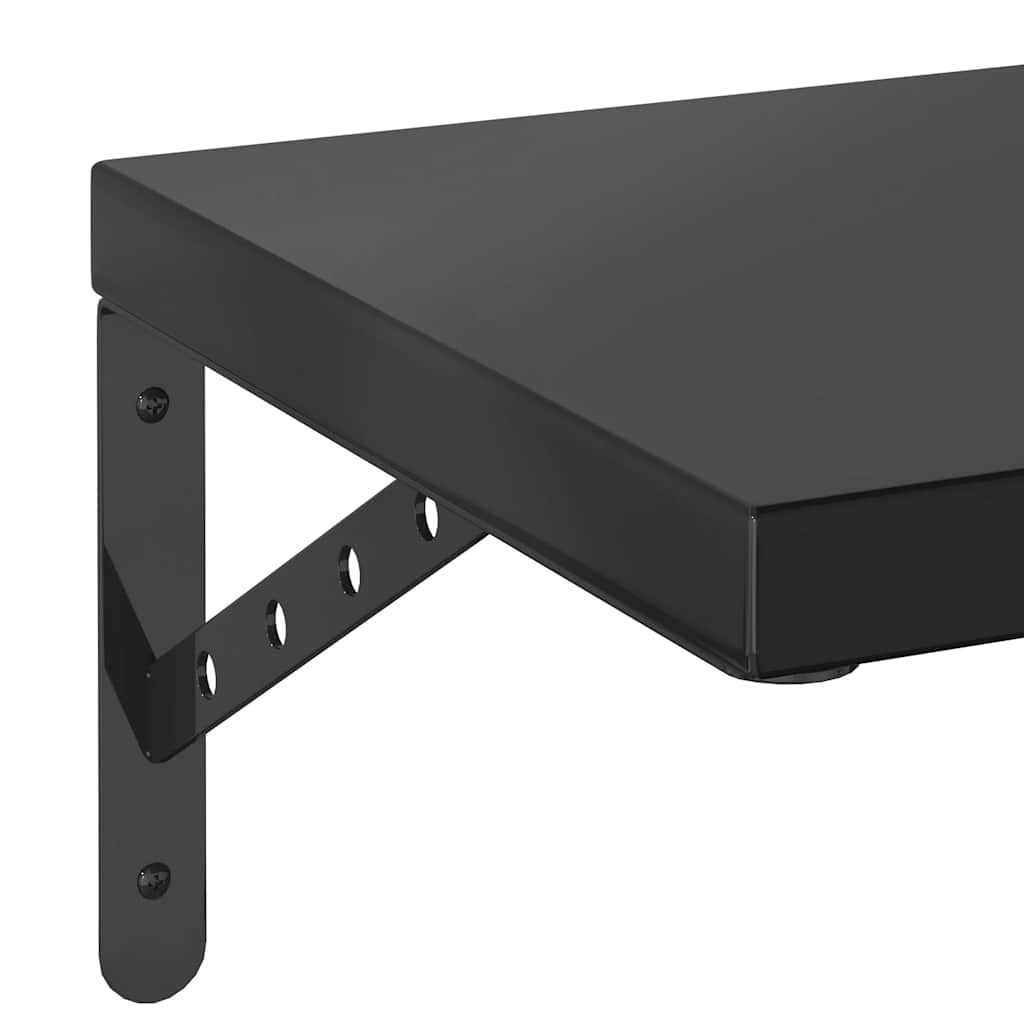 vidaXL Wandregale 2 Stk. 100x30 cm Schwarz Edelstahl