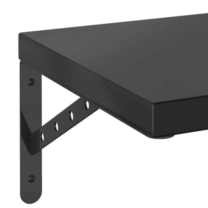 vidaXL Wandregale 2 Stk. 100x30 cm Schwarz Edelstahl