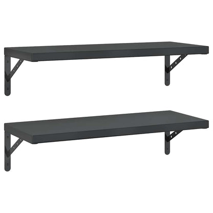 vidaXL Wandregale 2 Stk. 75x30 cm Schwarz Edelstahl