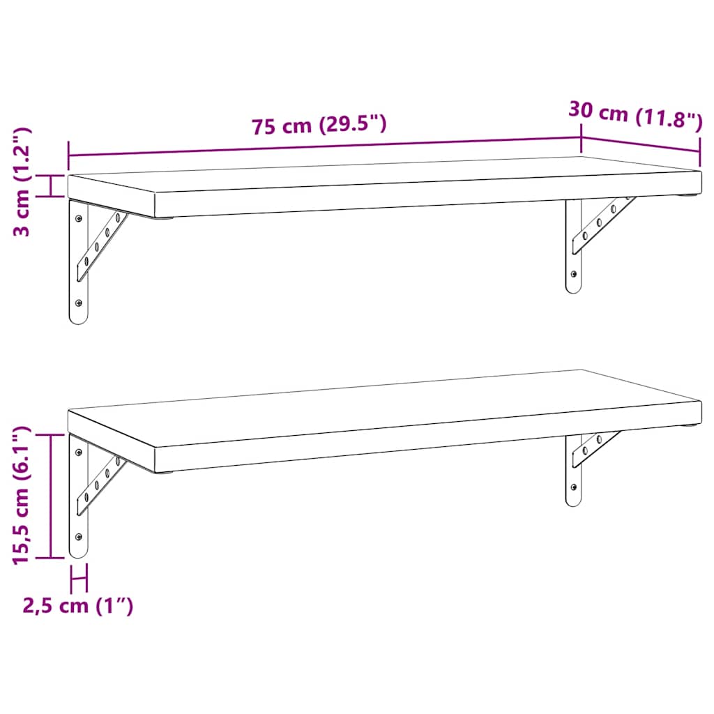 vidaXL Wandregale 2 Stk. 75x30 cm Schwarz Edelstahl
