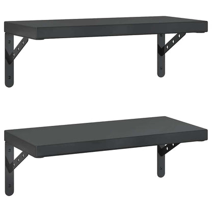 vidaXL Étagères murales 2 pcs 50x23,5 cm Noir Acier inoxydable