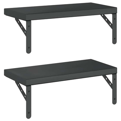 vidaXL Étagères murales 2 pcs 50x23,5 cm Noir Acier inoxydable