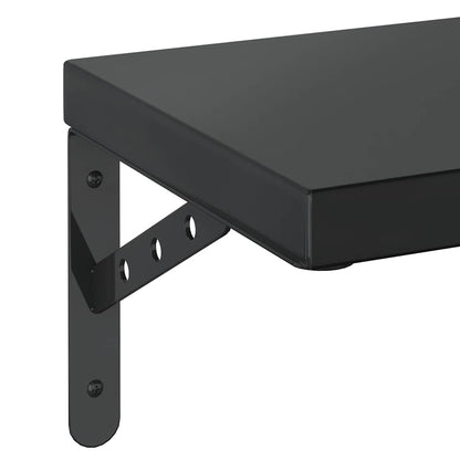 vidaXL Étagères murales 2 pcs 50x23,5 cm Noir Acier inoxydable