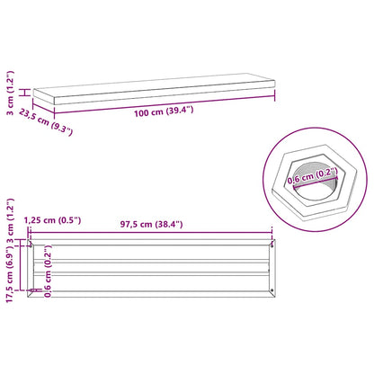 vidaXL Étagères murales 2 pcs 100x23,5x3 cm Argent Acier inoxydable