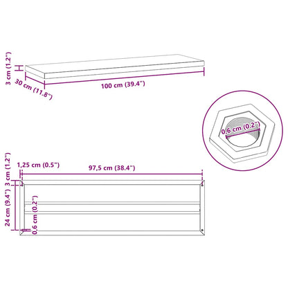 vidaXL Étagères murales 2 pcs 100x30x3 cm Noir Acier inoxydable
