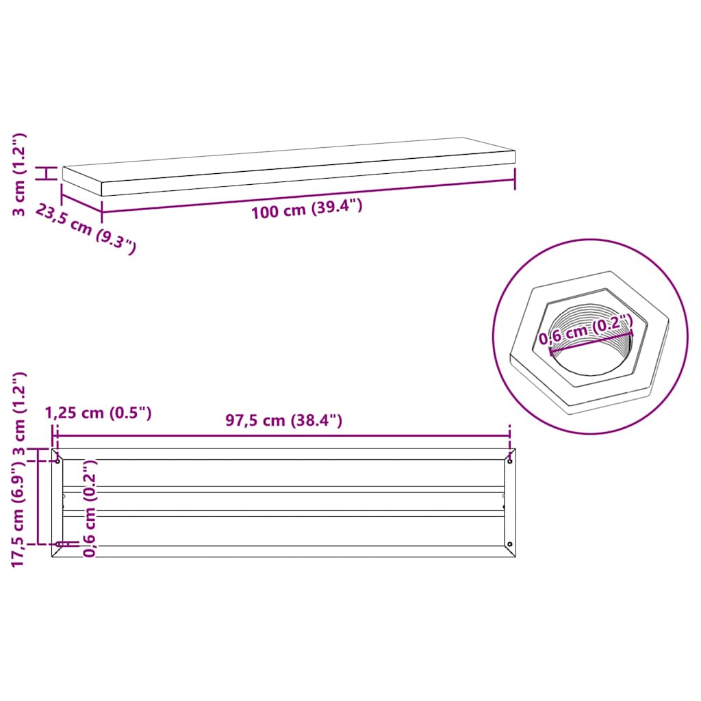 vidaXL Étagères murales 2 pcs 100x23,5x3 cm Noir Acier inoxydable