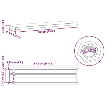 vidaXL Étagères murales 2 pcs 100x23,5x3 cm Noir Acier inoxydable