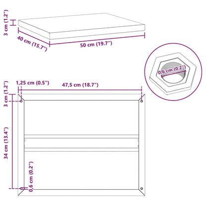 vidaXL Wandregale 2 Stk. 50x40x3 cm Schwarz Edelstahl