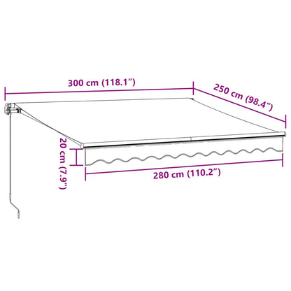 vidaXL Auvent manuel avec LED Rouge bordeaux 300x250 cm