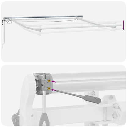 vidaXL Markise Automatisch mit LED Braun 300x250 cm