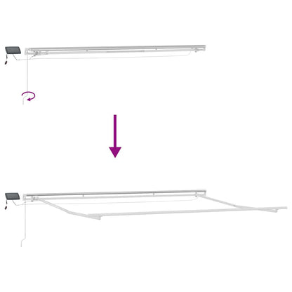 vidaXL Markise Manuell mit LED Braun 500x300 cm