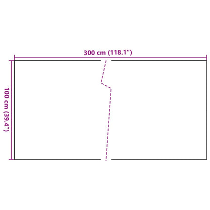 vidaXL Balkon-Sichtschutz Hellbraun 300x100 cm Poly Rattan