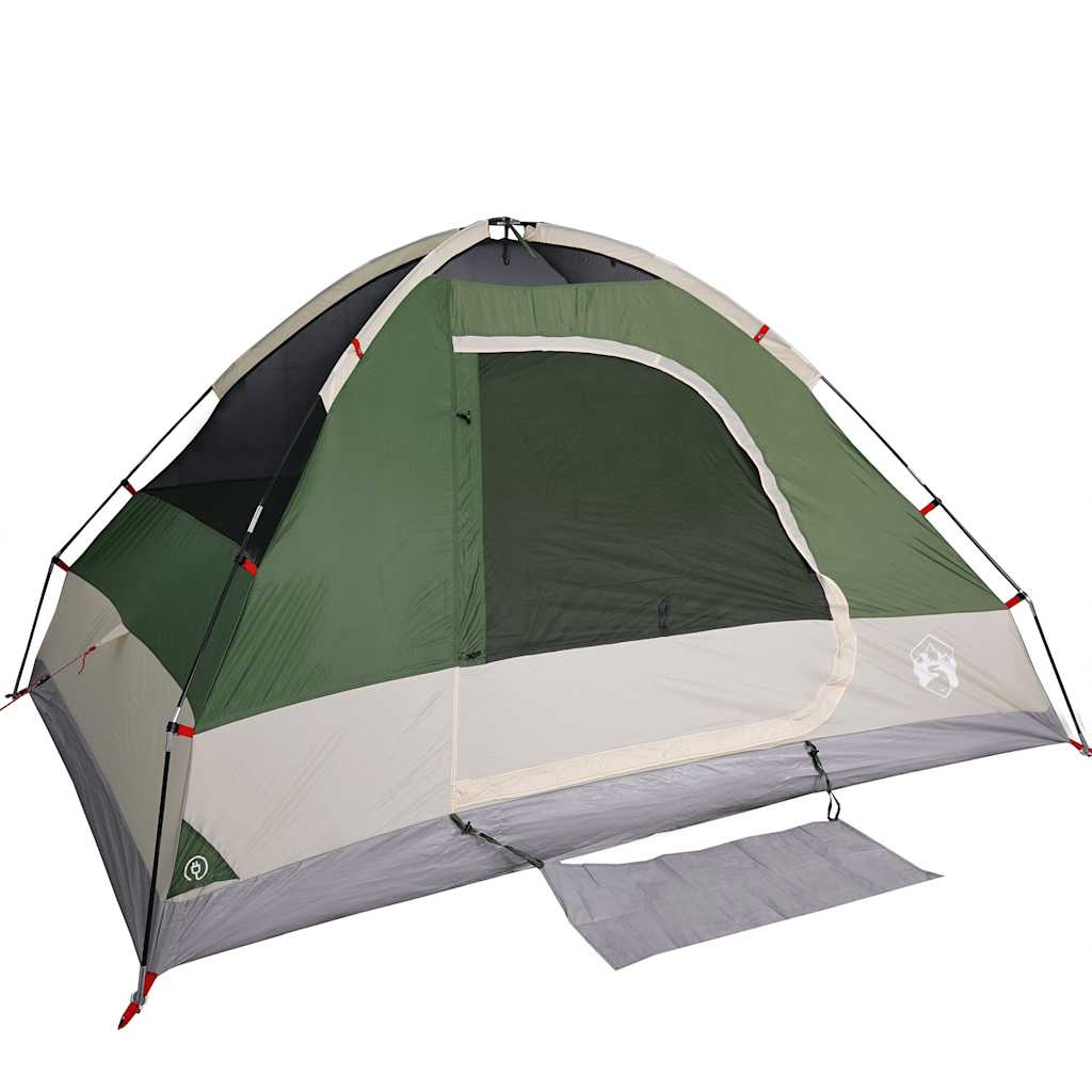 vidaXL Kuppel-Campingzelt 2 Personen Grün Wasserdicht