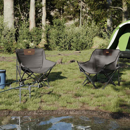 vidaXL Campingstühle 2 Stk. mit Tasche Klappbar Grau