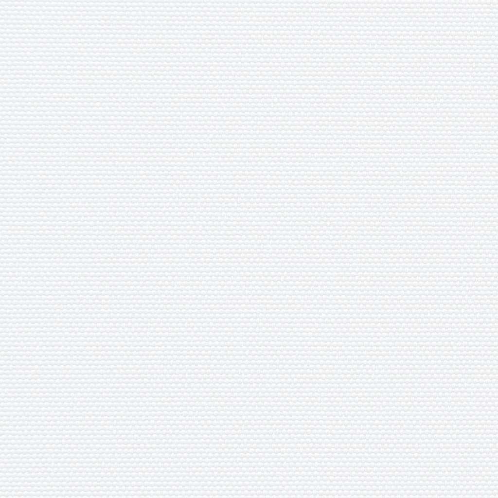 vidaXL Seitenmarkise Ausziehbar Weiß 200x300 cm