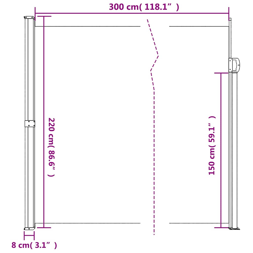 vidaXL Ausziehbare Seitenmarkise Anthrazit 220x300 cm