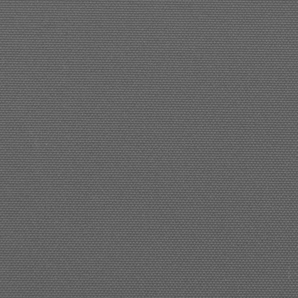 vidaXL Seitenmarkise Ausziehbar Anthrazit 160x500 cm