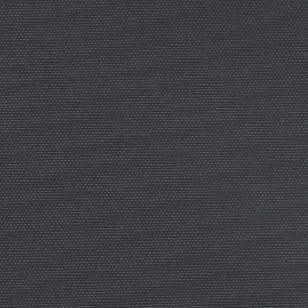 vidaXL Seitenmarkise Ausziehbar Schwarz 120x600 cm