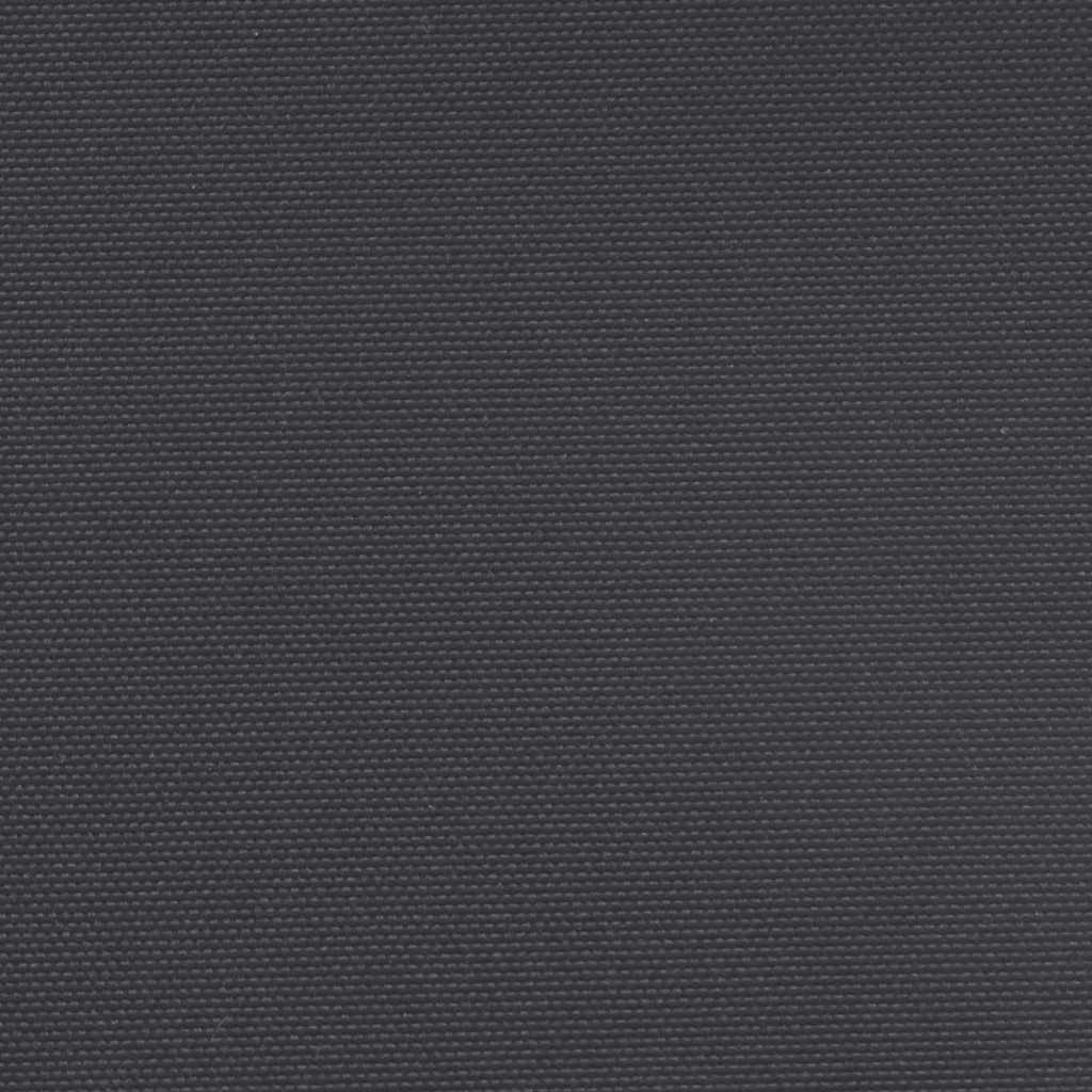 vidaXL Seitenmarkise Ausziehbar Schwarz 160x600 cm