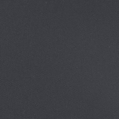 Seitenmarkise Ausziehbar Schwarz 160x600 cm