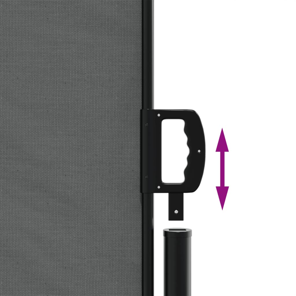 vidaXL Store latéral rétractable anthracite 160x1000 cm