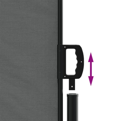 vidaXL Store latéral rétractable anthracite 160x1000 cm