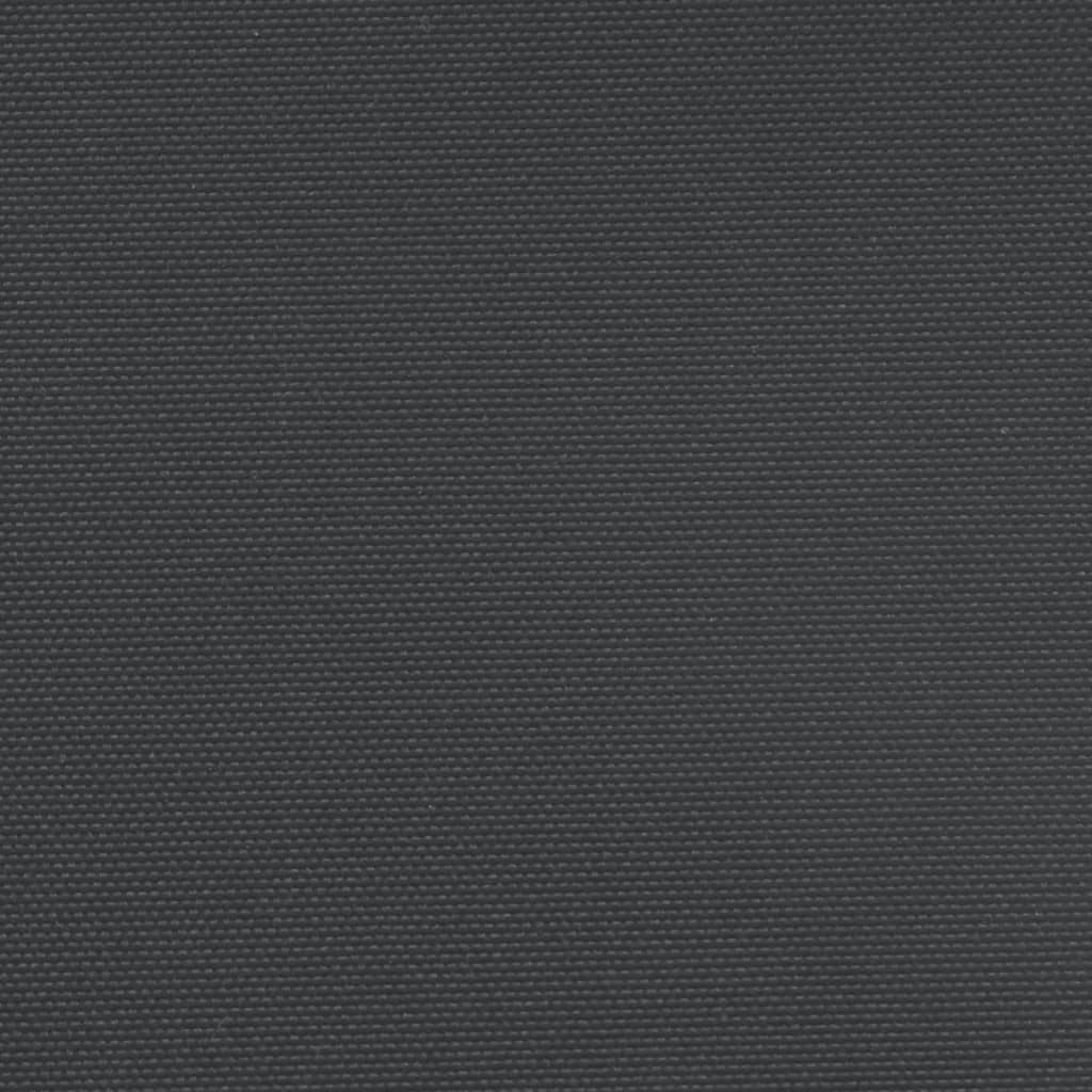 vidaXL Seitenmarkise Ausziehbar Schwarz 160x1200 cm