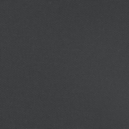vidaXL Seitenmarkise Ausziehbar Schwarz 160x1200 cm