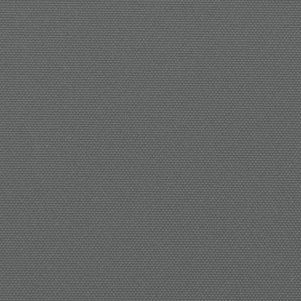 vidaXL Seitenmarkise Ausziehbar Anthrazit 160x1200 cm